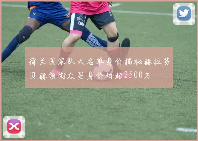 荷兰国家队大名单身价揭秘赫拉芬贝赫领衔众星身价均超2500万